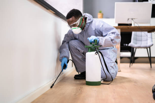 Best Residential Pest Control  in Artesia, CA